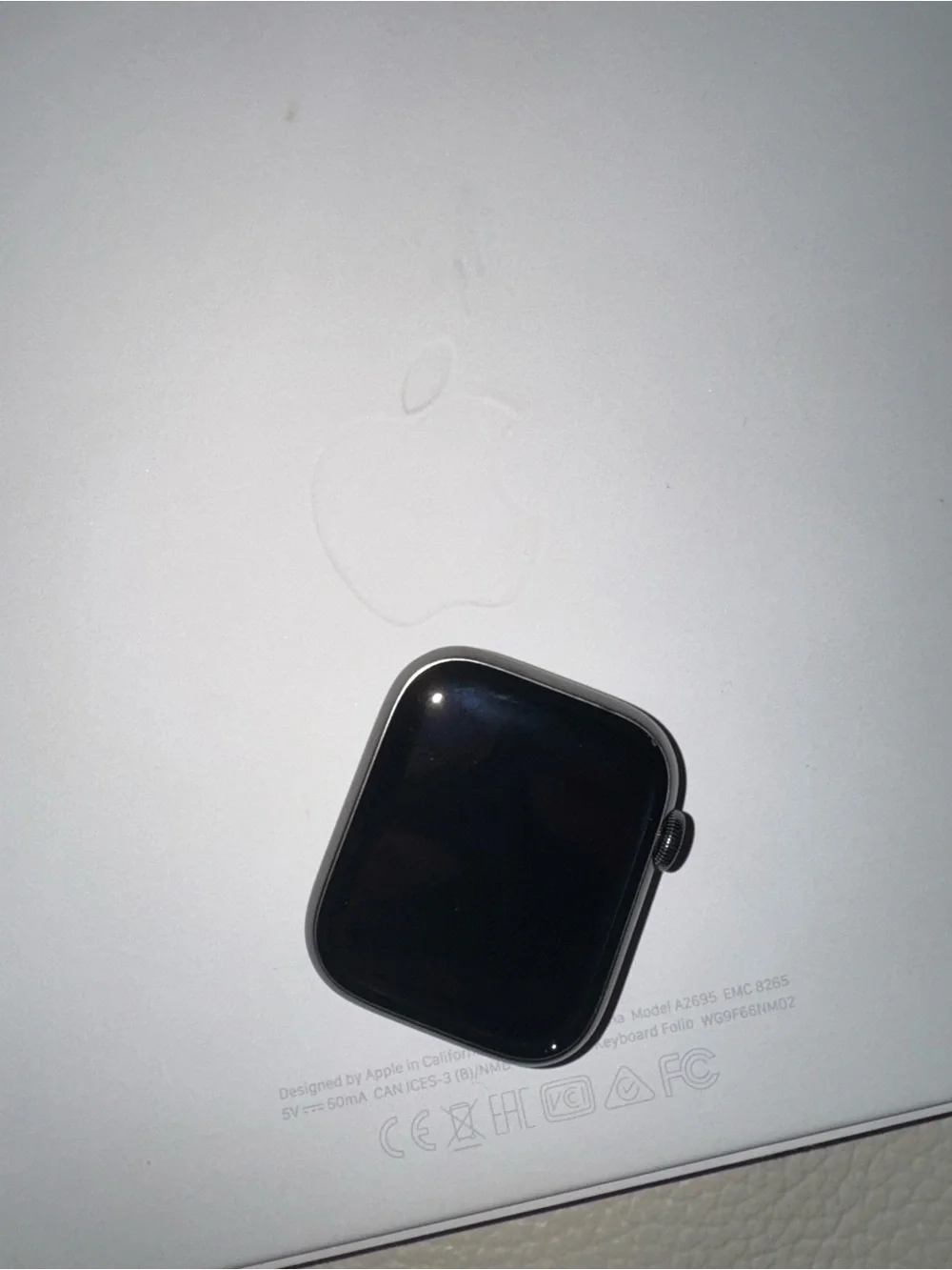Apple Watch Series 9 45MM Stainless Steel